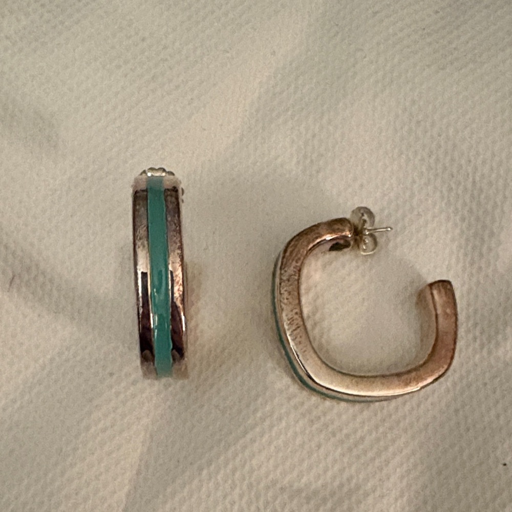 Chic Silver and Turquoise Earrings